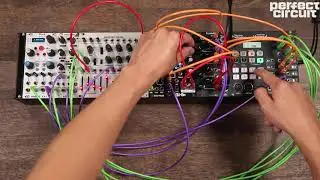 Squarp Hermod Sequencing Manther Growl & Drums