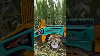 Small corn harvester - specializes in harvesting corn for small lands