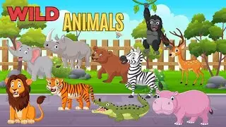 Learn  Wild Animals  |Children First TV | Pre K| Kindergarten | Vocabulary |Words