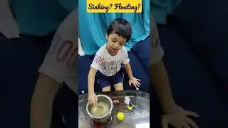 #sinking #sink #floating #float #sinkinwater #floatingonwater #water