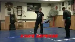LUIS KNIFE DEFENSE