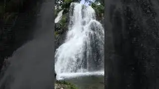 Shakinsky waterfall #2025 #video #youtube #shorts #youtubeshorts #shortvideo #nature #relaxing