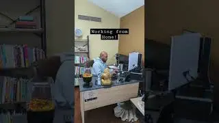 Working from Home! **WAIT FOR IT**#work #dance #dad #ugh #shorts
