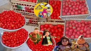تفريزات رمضان🌛نزلت اشتريت شادر الطماطم كله‼️ شهر الخير مش بيجى الا ومعاه الخير‼️كل عام وانتم بخير‼️🤲