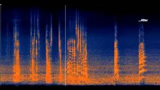Broadband Noise Removal Examples