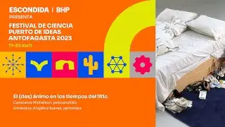 El (des) ánimo en los tiempos del litio - Constanza Michelson | Antofa 2023