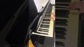 シューマン :森の情景 第4曲　気味の悪い場所 Robert:Waldszenen　