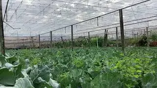 lWhere is the Sunrise?  I’m waiting with my plants in the backyard garden “