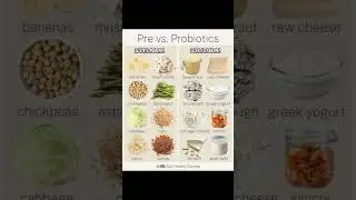 Health | Prebiotics Vs Probiotics