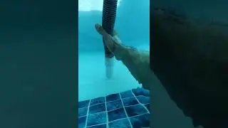 pool cleaning video