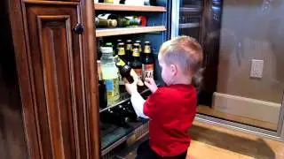 Griffin in Beer Fridge