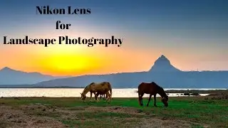 Best Nikon Lens for Landscape Photography