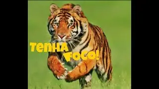 Arquétipo do Tigre - Tenha Foco! (LEIA A DESCRIÇÃO)