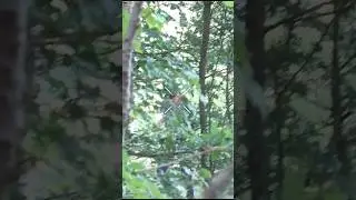 Painful airsoft moments p1