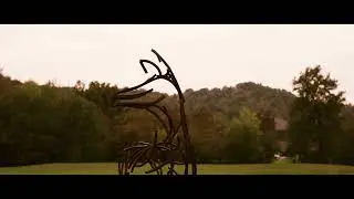 GESSI | THE PRIVATE WELLNESS COMPANY