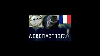 Webdriver Torso nedir??