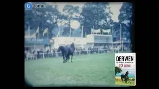 DerwenCobBook - Derwen Rosina