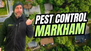 Markham Pest & Wildlife Control: Professional Solutions for Homes and Businesses