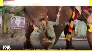 കൊല്ലത്ത് റോഡിൽ വാഹനം നിയന്ത്രിച്ചിരുന്നയാളെ ചവിട്ടി വീഴ്ത്തി ആന...