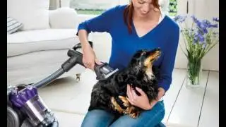 10 Pet-Friendly Products for Your Home