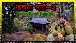 The Hidden Forests of Japan - Abandoned Places & Nature!