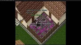 Munkyslair - Reet Server - Ultima Online Flash Videos
