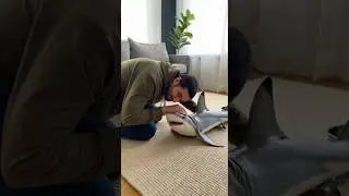 Petting a Land Shark Like It&rsquo;s Totally Normal 🦈😳