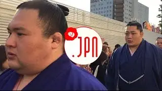 [DOTJPN 2015] The Stone 006 - Japan Grand Sumo Tournament at Ryogoku-Kokugikan Hall.