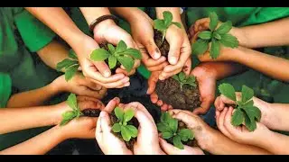 Plantation Festival 2022 || Hariyali Teej 2022 || पौधारोपण उत्सव || Van Mahotsav || Tree Planting
