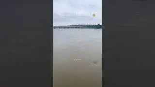 Agra Yamuna Nadi Mein Badh | Agra Flood 2025 | Yamuna River Water Level Update