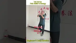 Tai Chi for Pain Relief & Energy | High Taming the Horse, Rocking Step... #taichi #kungfu #qigong