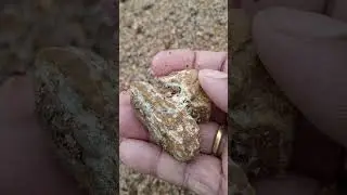 fossilesd Rock #natural #rock #Stone #fossil #reels #explore