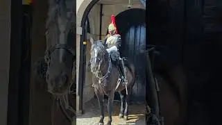 ROYAL GUARD || LONDON KING'S GUARD 2025 #viralshorts #shorts #kingsguards #royalguards