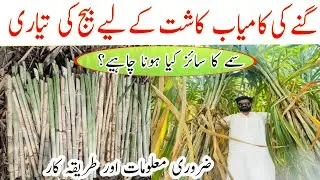 Sugarcane Seed Set Preparation | Complete Guide for High Germination & Yield
