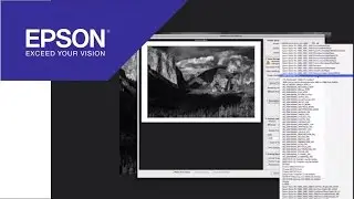 Tutorial: Using the Advanced Black and White Driver | Epson