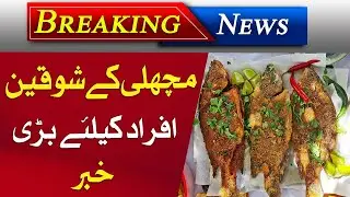 Fishing In Karachi | Big News For Fish Lovers | Fish Point In Karachi | Views Line