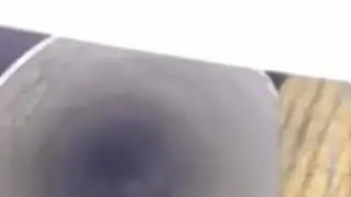 Bird jumpscare