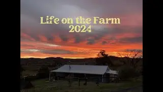 Life on the Farm - 2024 wrap up - Central West NSW Australia@atackadventures4163
