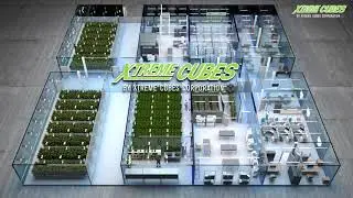Modular construction of cannabis production