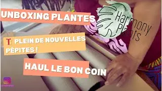 Unboxing Harmony Plants et plein de nouveautés !
