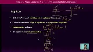 Replicon and Origin of Replication | CSIR Life Sciences|GATE Biotechnology #doorsteptutor #testprep