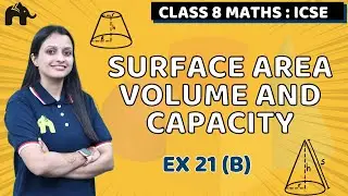 Surface Area Volume and Capacity Class 8 ICSE Maths| Selina Chapter 21 | Ex 21 (B)