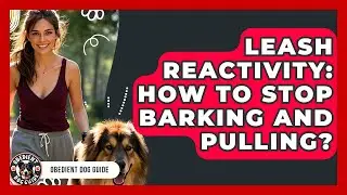 Leash Reactivity: How To Stop Barking And Pulling? - Obedient Dog Guide