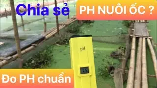 NUÔI ỐC NHỒI PH CHUẨN LÀ BAO NHIÊU | CÁCH DIỀU CHỈNH BÚT ĐO PH