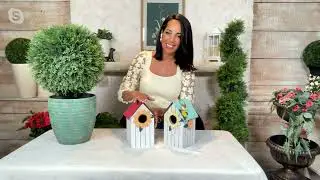 Garden Reflections Wooden Birdhouse with Floral Accents on QVC