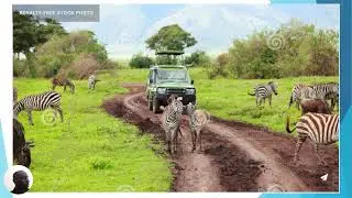 Fundamentals of Tourism - Tourism Motivation