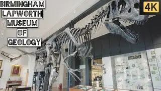 Birmingham Lapworth Museum of Geology 4K | Fossils & Dinosaur Exhibit