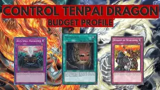 Tenpai Control Budget Deck Profile Yu-Gi-Oh! ITA [19] - AgrippaTCG