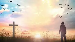 All That Has Breath Praise by Liveloud