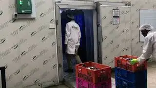 Do you want to know how fish is stored?  OnlyKem Cold Room is the first choice.